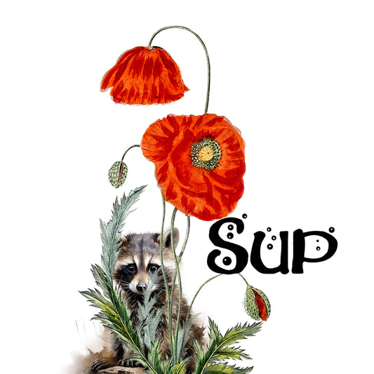 Sup, Said the Raccoon